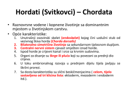 Hordati (Svitkovci) * Chordata