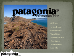 Patagonia Promotional Strategy - Zenia Villa`s e