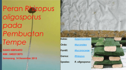 Peran Rhizopus oligosporus PADA PEMBENTUKAN TEMPE