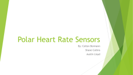 Polar Heart Rate Monitors - Colton Bormann
