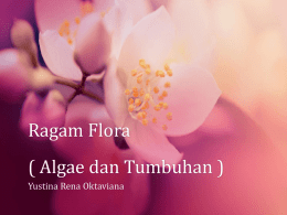 Ragam Flora - yustinarena