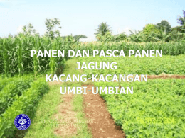 - Rizal Mahdi Blog`s