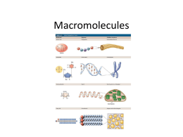Macromolecules