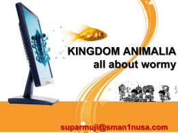 KINGDOM ANIMALIA – all about wormy