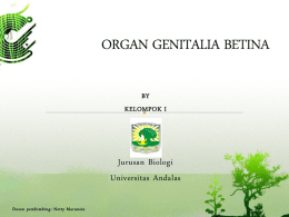 Presentasi Organ Genital Betina
