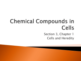 Chemical Compounds in Cells