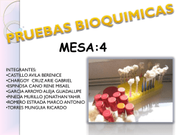 pruebas bioquimicas 4102c