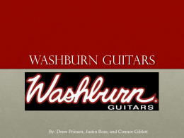 Washburn Guitars