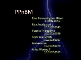 PPn BM 222