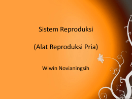 Sistem Reproduksi