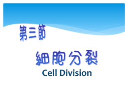 CH1-3細胞分裂