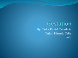 Gestation