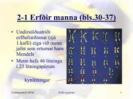 2-1 Erfðir manna (bls.30-37)