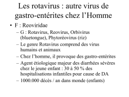 Les rotavirus : autre virus de gastro