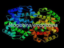 6.emoglobina e mioglobina