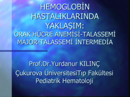 Prof.Dr.Yurdanur KILINÇ`ın sunusu