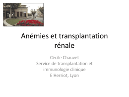 Anémies et transplantation
