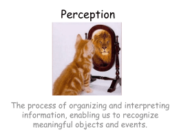 Perception - AP Psychology Community