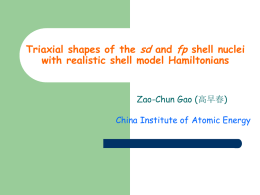Shell Model calculations