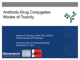 Dr. Schutten: Modes of Toxicity of Antibody Drug Conjugates
