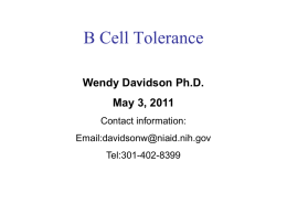 B Cell Tolerance