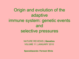 1. Silvia Ferreani: Origine ed evoluzione del sistema immunitario