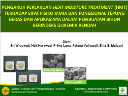 pengaruh perlakuan heat moisture treatment (hmt)