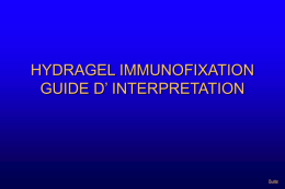 Hydragel immunofixation