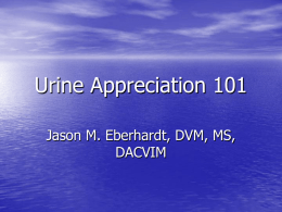 Urine Appreciation 101 - VetCare Internal Medicine