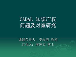 CADAL知识产权问题和对策研究