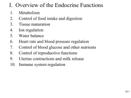Specific Endocrine Glands