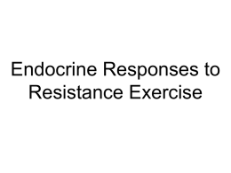 Endocrine_System