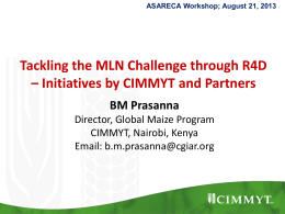 Initiatives by CIMMYT and Partners. (BM Prasanna)