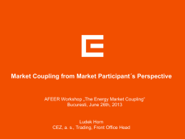 Market Coupling from Market Participant´s Perspective