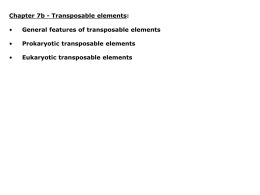 Transposable elements