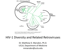 HIV-1 Diversity and Related Retroviruses