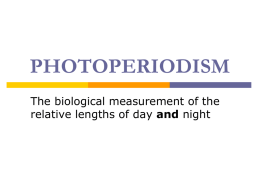 Powerpoint Presentation: Photoperiodism