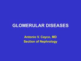 GLOMERULAR DISEASES - Antonio V. Cayco,MD