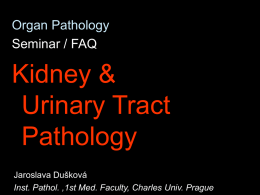 Kidney and urinary tract