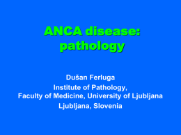 ANCA disease: pathology (PPT / 13136.5 KB)