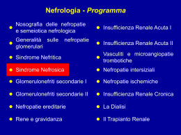 Sindrome Nefrosica - Appuntimedicina.it