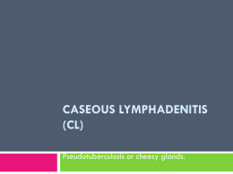 Caseous lymphadenitis (CL)