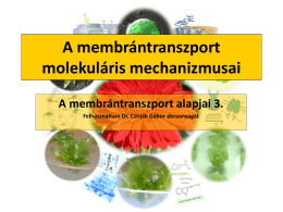 A membrántranszport alapjai