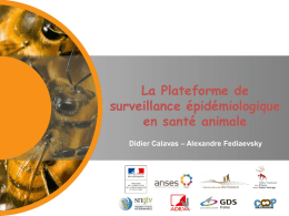 La plateforme de surveillance &eacute;pid&eacute;miologique en sant&eacute;