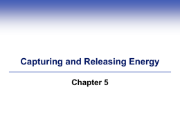 Chapter 5 Capturing and releasing Energy