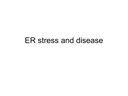 ER stress and disease