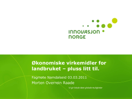 Morten Overrein Raade, Innovasjon Norge