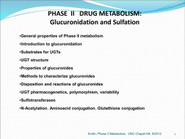PHASE II DRUG METABOLISM: Glucuronidation