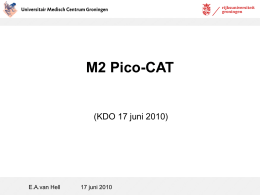 Powerpoint presentatie over het maken van een pico-cat.
