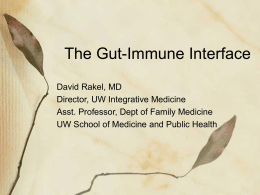 The Gut-Immune Interface